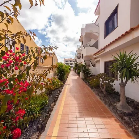 Apartmán El Sueno De Tenerife Arona (Tenerife)